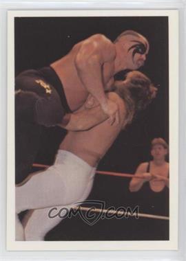 1988 Wonderama NWA - [Base] #159 - Road Warrior Hawk