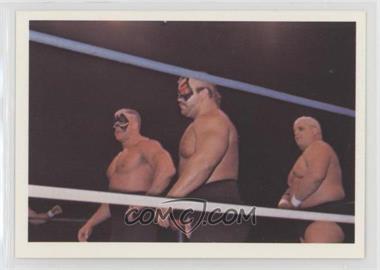 1988 Wonderama NWA - [Base] #207 - The Road Warriors