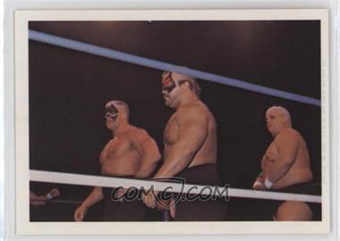 1988 Wonderama NWA - [Base] #207 - The Road Warriors