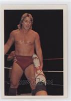 Terry Taylor