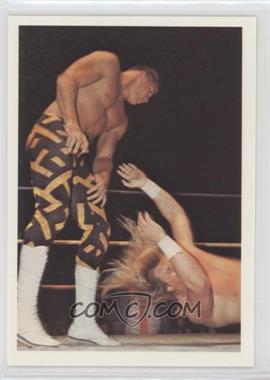1988 Wonderama NWA - [Base] #224 - Sean Royal