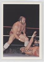 Ole Anderson