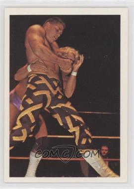 1988 Wonderama NWA - [Base] #300 - Sean Royal [EX to NM]