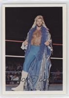 Michael Hayes