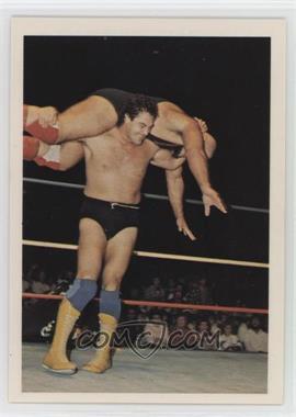 1988 Wonderama NWA - [Base] #76 - Mike Rotunda