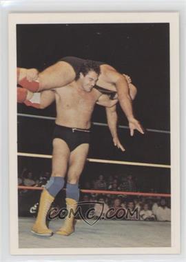 1988 Wonderama NWA - [Base] #76 - Mike Rotunda