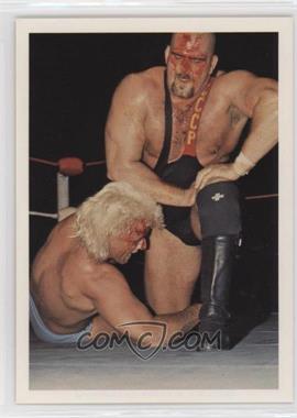 1988 Wonderama NWA - [Base] #89.2 - Nikita Koloff, Ric Flair (No NWA on Back)