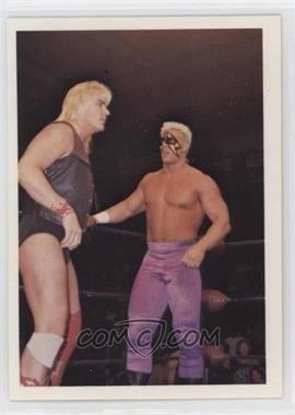 1988 Wonderama NWA - [Base] #9 - Barry Windham & Sting