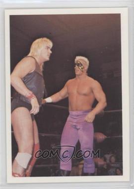 1988 Wonderama NWA - [Base] #9 - Barry Windham & Sting