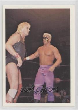 1988 Wonderama NWA - [Base] #9 - Barry Windham & Sting