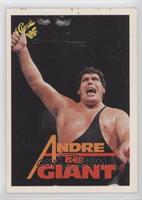 Andre the Giant [EX to NM]