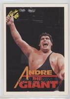 Andre the Giant