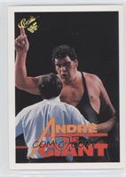 Andre the Giant