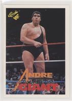 Andre the Giant