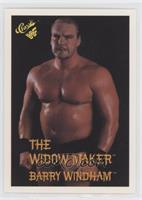 Barry Windham [EX to NM]