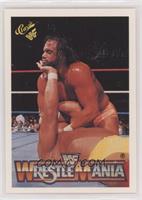 Wrestlemania V (Hulk Hogan, Randy Savage)
