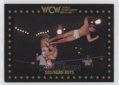 1991 Championship Marketing WCW - [Base] #106 - Southern Boys [EX to NM]