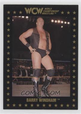 1991 Championship Marketing WCW - [Base] #17 - Barry Windham