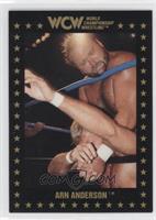 Arn Anderson