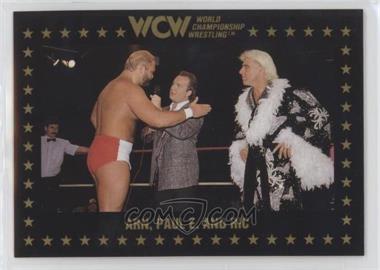 1991 Championship Marketing WCW - [Base] #48 - Ric Flair