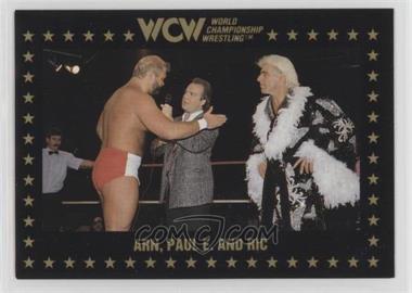 1991 Championship Marketing WCW - [Base] #48 - Ric Flair