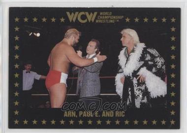 1991 Championship Marketing WCW - [Base] #48 - Ric Flair