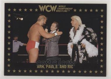 1991 Championship Marketing WCW - [Base] #48 - Ric Flair