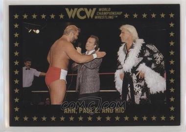 1991 Championship Marketing WCW - [Base] #48 - Ric Flair