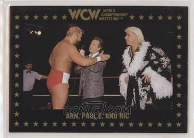 1991 Championship Marketing WCW - [Base] #48 - Ric Flair