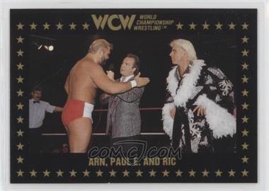 1991 Championship Marketing WCW - [Base] #48 - Ric Flair