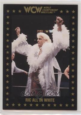 1991 Championship Marketing WCW - [Base] #56 - Ric Flair