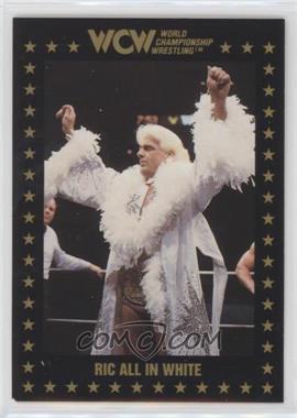 1991 Championship Marketing WCW - [Base] #56 - Ric Flair
