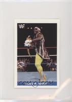 Koko B. Ware