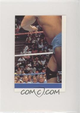 1991 Diamond Publish WWF SuperStars Stickers - [Base] #57 - Ultimate Warrior