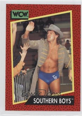 1991 Impel WCW - [Base] #137 - Southern Boys