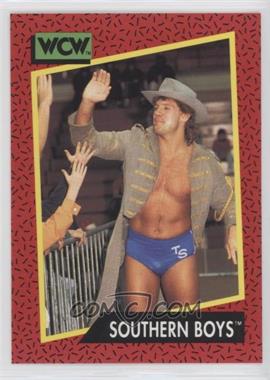 1991 Impel WCW - [Base] #137 - Southern Boys