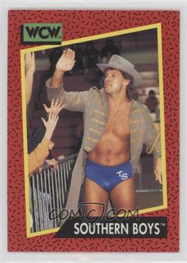 1991 Impel WCW - [Base] #137 - Southern Boys