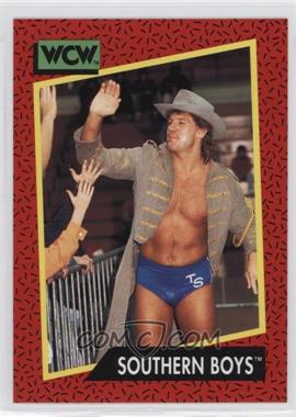 1991 Impel WCW - [Base] #137 - Southern Boys