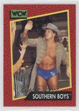 1991 Impel WCW - [Base] #137 - Southern Boys