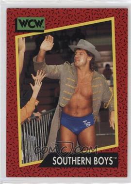 1991 Impel WCW - [Base] #137 - Southern Boys