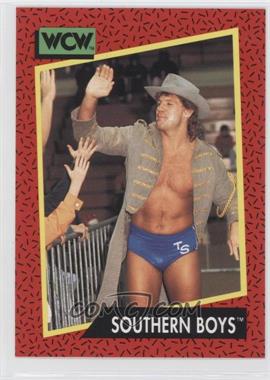 1991 Impel WCW - [Base] #137 - Southern Boys