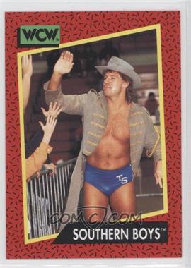 1991 Impel WCW - [Base] #137 - Southern Boys