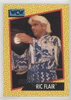 Ric Flair [EX to NM]