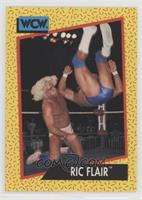 Ric Flair