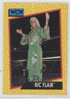 Ric Flair [EX to NM]