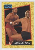 Arn Anderson