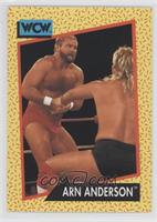 Arn Anderson