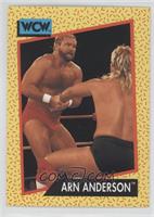 Arn Anderson