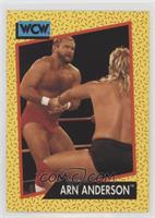 Arn Anderson