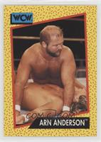 Arn Anderson